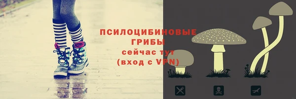 шишки Алексеевка