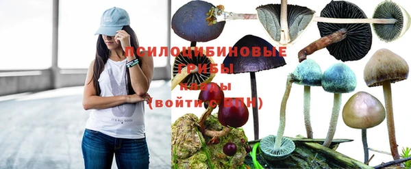 шишки Алексеевка