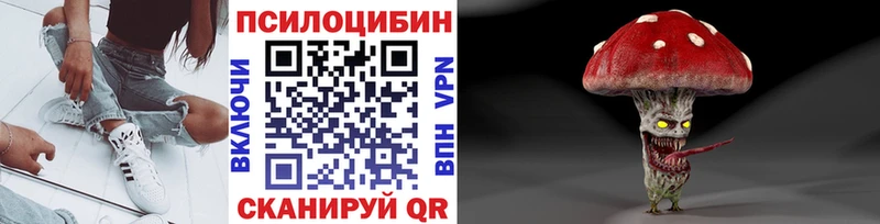 закладки  Урюпинск  Псилоцибиновые грибы Cubensis 